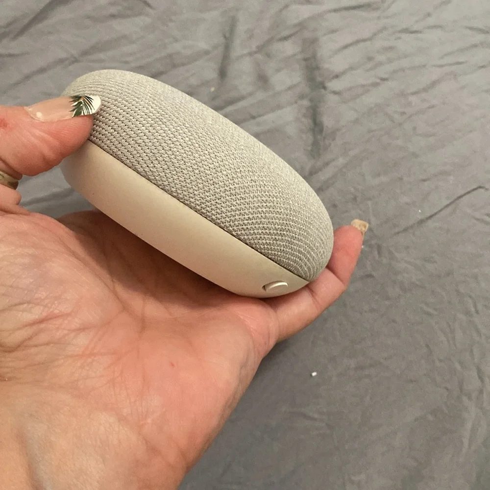 Google Nest